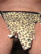 schelmut sucht Sex Kontakt