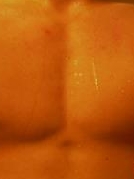 zungenwirbel69 sucht Sex Kontakt