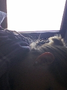 Traum006 sucht Sex Kontakt