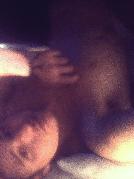 BombeBoom sucht Sex Kontakt