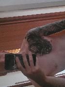 Centixx111 sucht Sex Kontakt