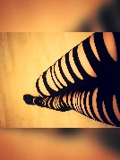 DieNeue33 sucht Sex Kontakt