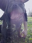 FTWLoyaL sucht Sex Kontakt
