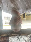 Geilerbogg7282 sucht Sex Kontakt