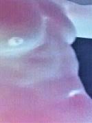 Llover sucht Sex Kontakt