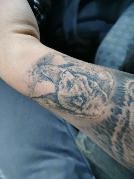 Maikel1991 sucht Sex Kontakt