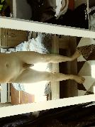 Marc1111 sucht Sex Kontakt