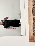 Nameles sucht Sex Kontakt