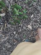 Nick1702 sucht Sex Kontakt