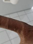 Rico99510 sucht Sex Kontakt